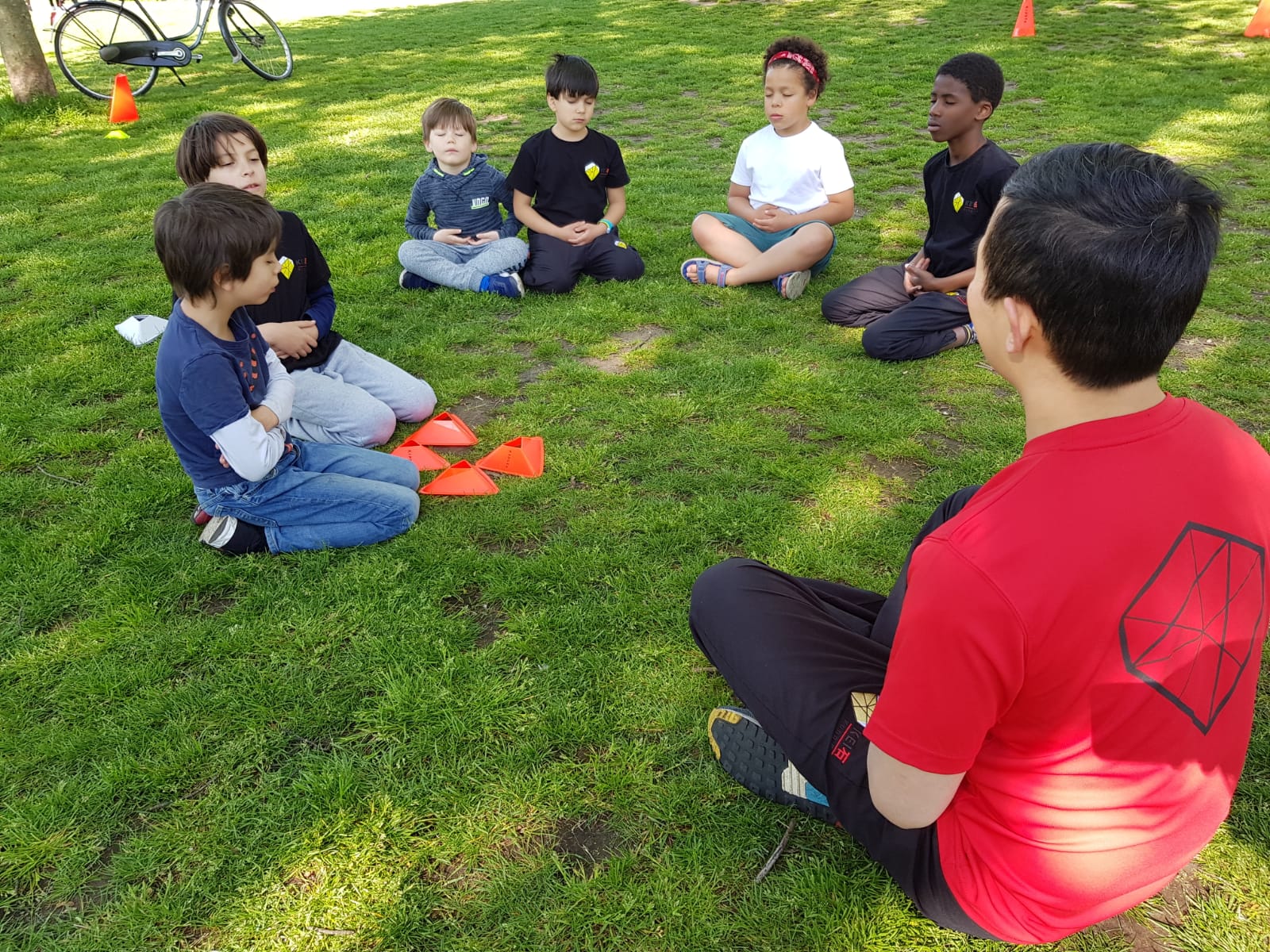 Gratis Kung Fu lessen in het Vondelpark