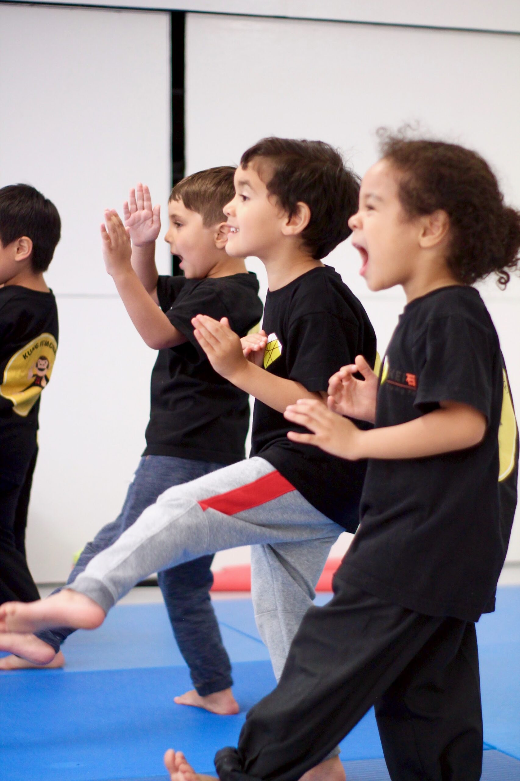 Kung Fu voor kinderen bij KEI Kung Fu