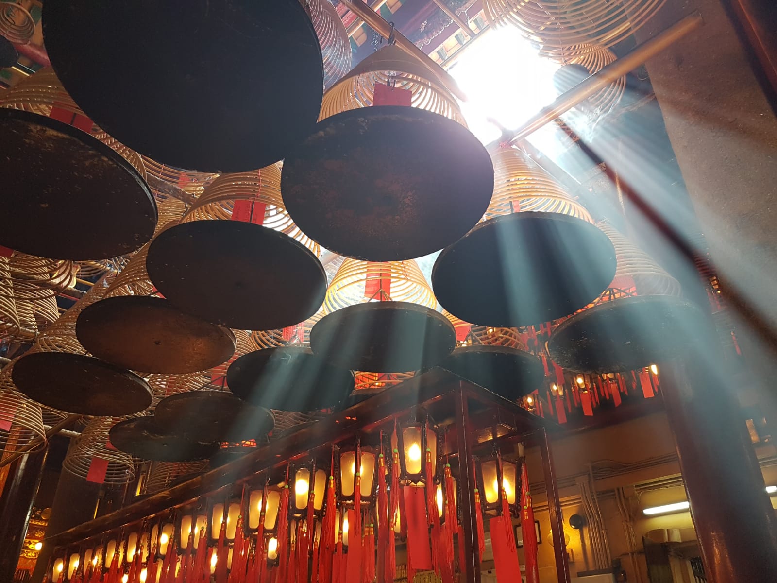 De geschiedenis van Kung Fu in een notendop